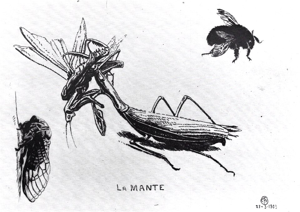 François Maréchal - La mante religieuse (1923)