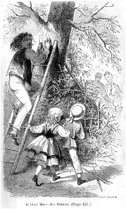 François le Bossu 019
