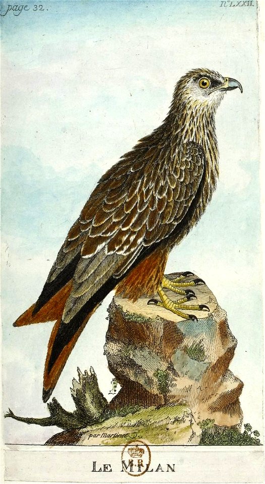 François-Nicolas Martinet - Histoire des oiseaux - Milan