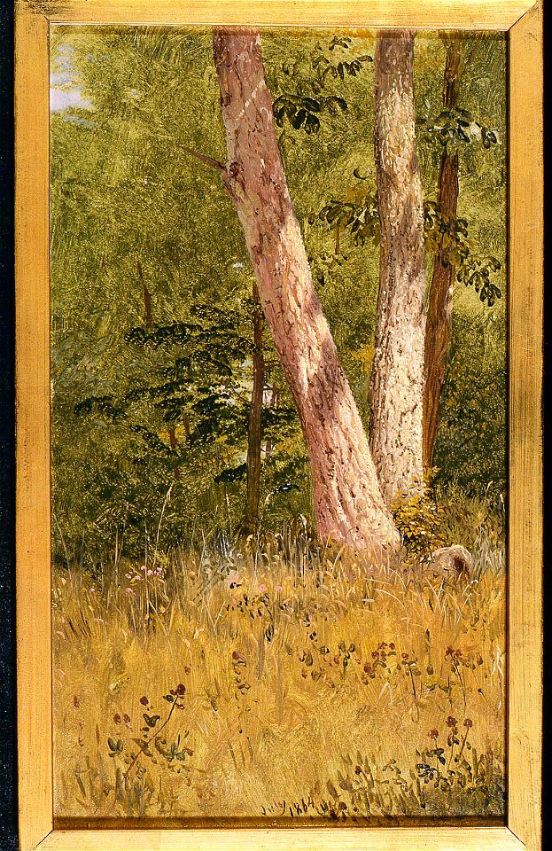Frederic Edwin Church - Landscape with Two Trees - 1982.402 - Museum of Fine Arts