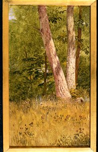Frederic Edwin Church - Landscape with Two Trees - 1982.402 - Museum of Fine Arts