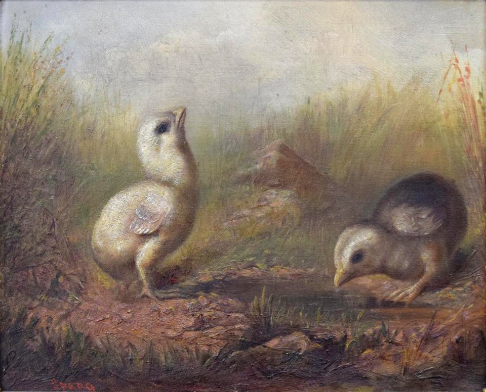 Frederick A. Spang - Chicks - 1953.4.1 - Reading Public Museum