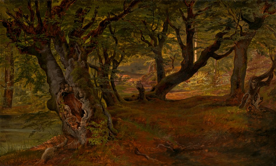 Frederik Sødring - View of Bregentved Forest, Zealand