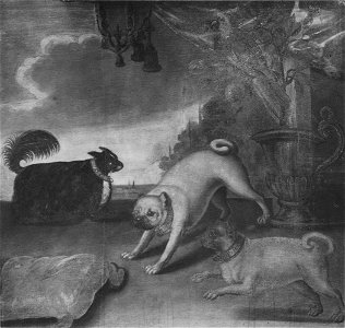 Fredrik Is mopsar, Ulrika Eleonora d.y.s lilla hund samt en papegoja - Nationalmuseum - 15495