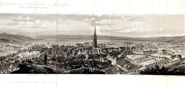 Freiburg Panorama c1860 detail1
