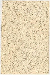 French Portrait card deck - 1827 - Back