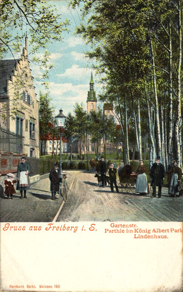 Freiberg i. Sa., Sachsen - Gartenstraße; Partie im König-Albert-Park; Lindenhaus (Zeno Ansichtskarten)