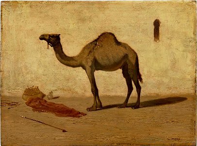 Charles Théodore Frère - Camel - RES.27.53 - Museum of Fine Arts. Free illustration for personal and commercial use.