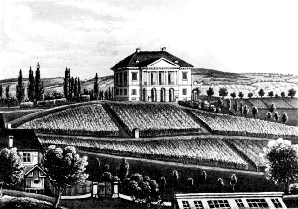 Freudenberg alte Villa