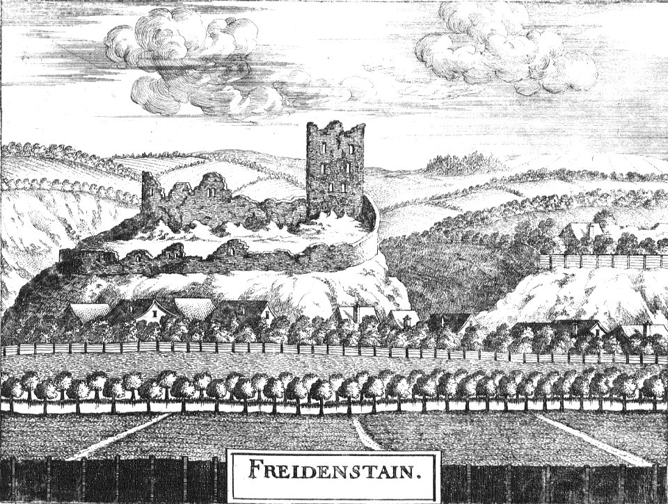 Freudenstein-neu