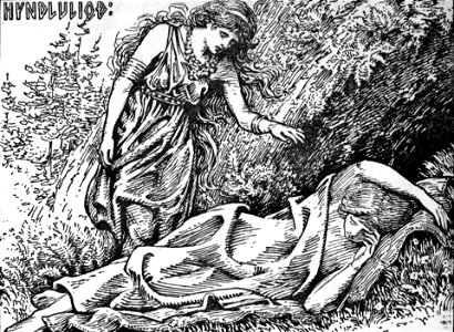 Freyja awakes Hyndla