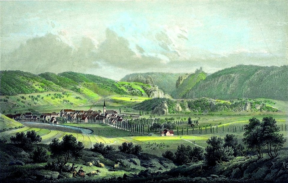 Fridingen, Stadtansicht von Eberhard Emminger