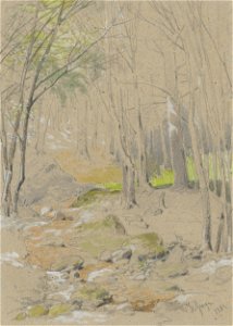 Friedrich Carl von Scheidlin - Forest Stream - K 252 - Slovak National Gallery