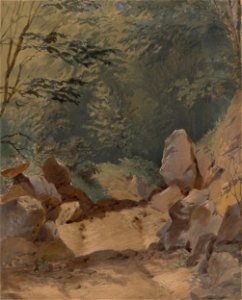 Friedrich Carl von Scheidlin - Forest Scenery with Rocks - K 261 - Slovak National Gallery
