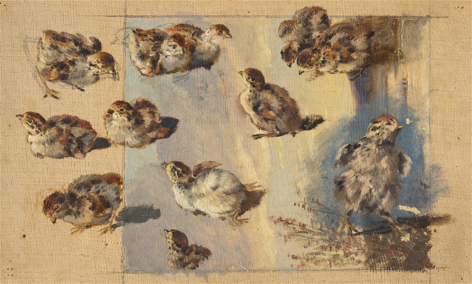 Friedrich Carl von Scheidlin - Study of Chicks - O 539 - Slovak National Gallery