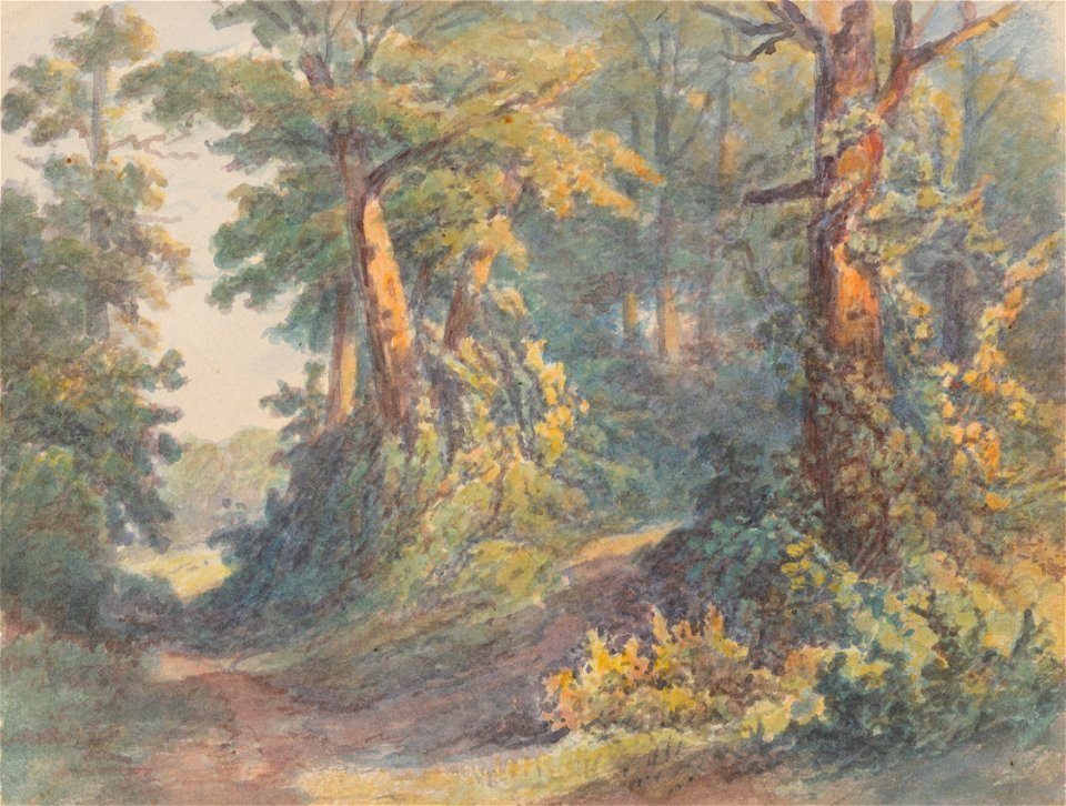 Friedrich Carl von Scheidlin - Forest Scenery - K 259 - Slovak National Gallery