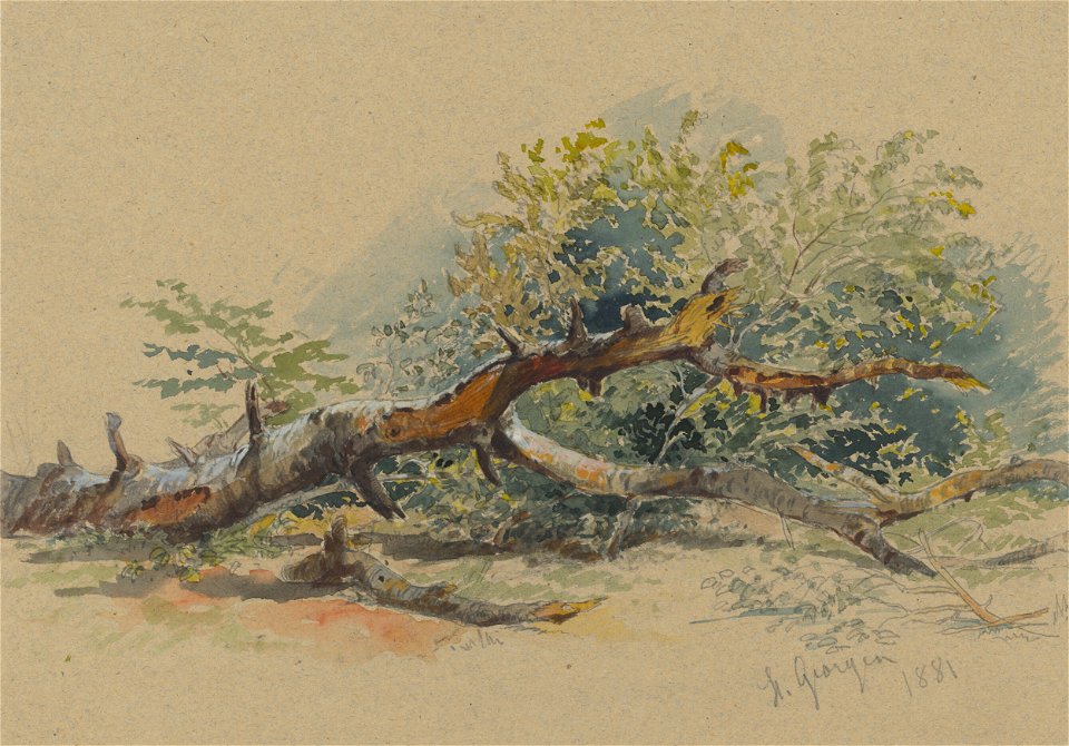 Friedrich Carl von Scheidlin - Study of a Cut Down Tree - K 251 - Slovak National Gallery