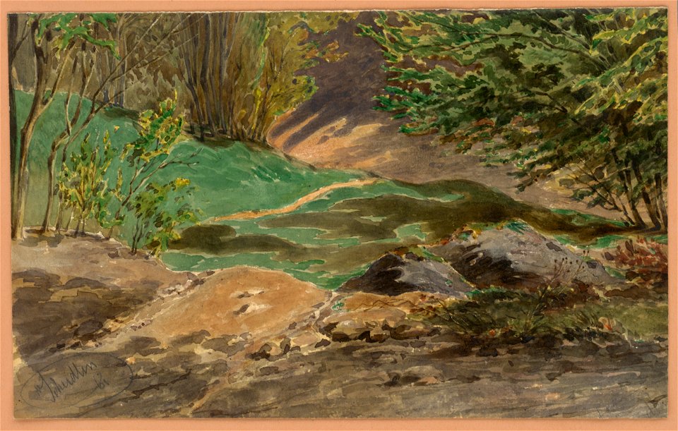 Friedrich Carl von Scheidlin - Forest Still Life - K 245 - Slovak National Gallery