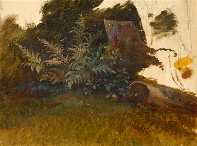 Friedrich Carl von Scheidlin - Mountain Vegetation - O 546 - Slovak National Gallery