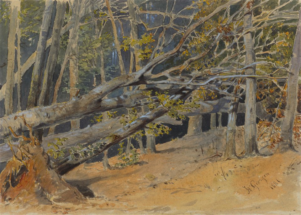 Friedrich Carl von Scheidlin - Study of Cut Down Trees - K 248 - Slovak National Gallery
