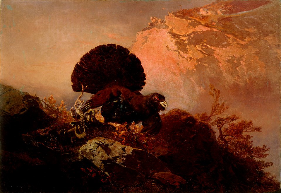 Friedrich Gauermann - Divji petelin