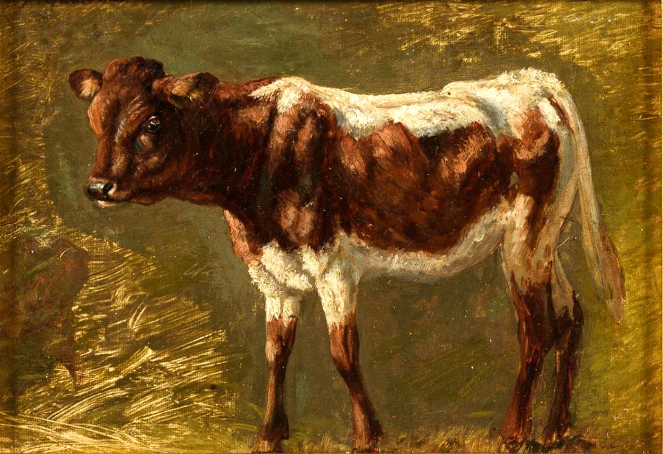 Friedrich Gauermann Studie eines Kalbs