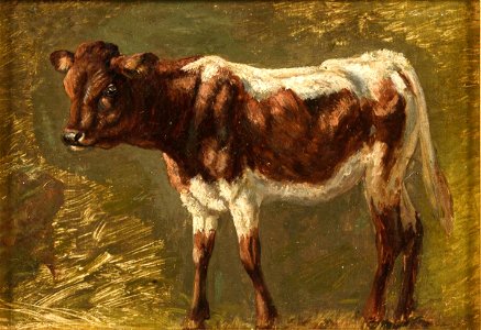 Friedrich Gauermann Studie eines Kalbs
