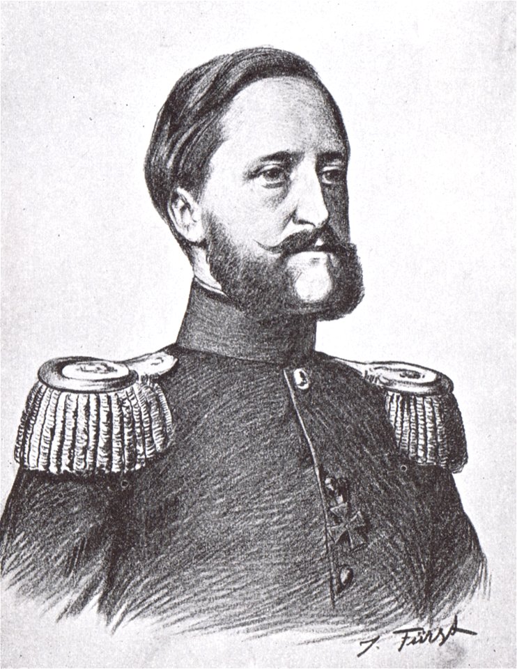 Friedrich VIII von Schleswig-Holstein