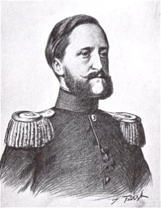 Friedrich VIII von Schleswig-Holstein
