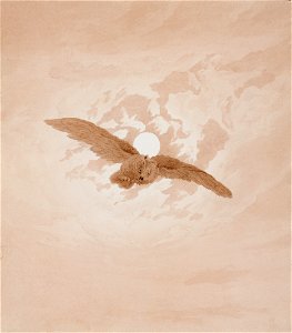 Owl-Flying-against-a-Moonlit-Sky