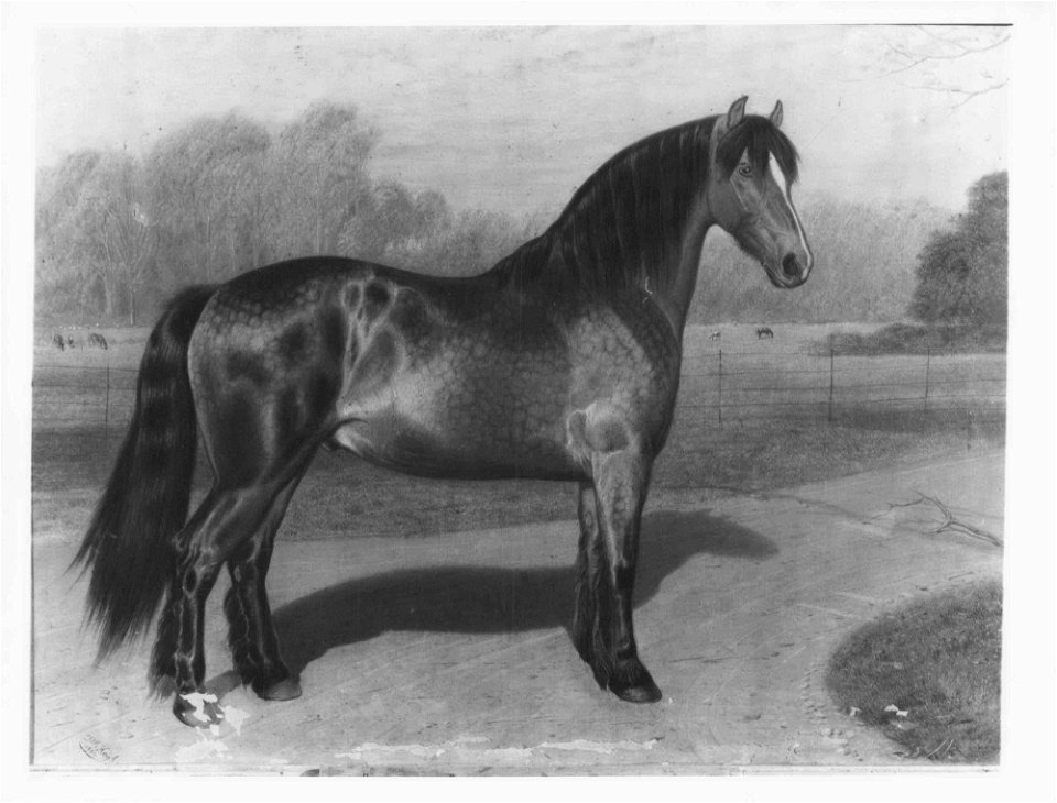 Friedrich Wilhelm Keyl (1823-71) - The Don - RCIN 404115 - Royal Collection
