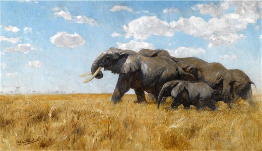 Friedrich Wilhelm Kuhnert - Elefanten auf der Wanderung