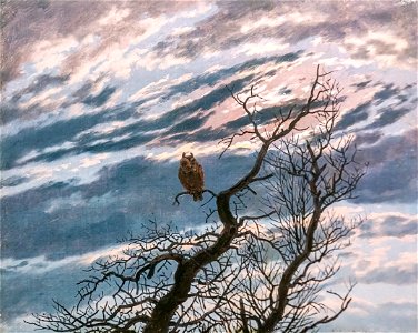 Caspar David Friedrich - Eule auf schmucklosem Baum