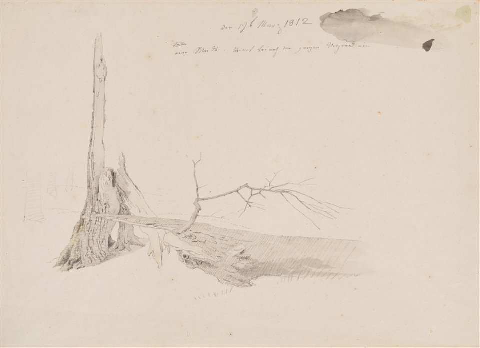 Caspar David Friedrich, Pahýl stromu (1812), tužka, akvarel 260 x 355 mm, sbírka kresby Národní galerie v Praze