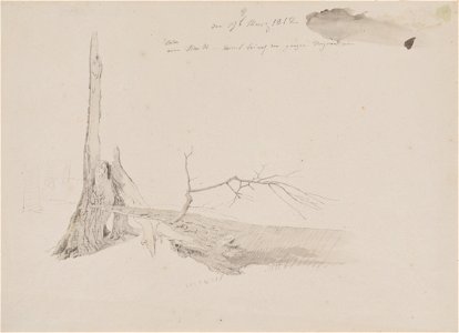 Caspar David Friedrich, Pahýl stromu (1812), tužka, akvarel 260 x 355 mm, sbírka kresby Národní galerie v Praze. Free illustration for personal and commercial use.