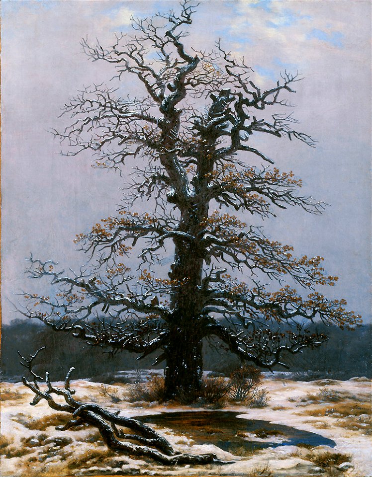 Eiche im Schnee - Caspar David Friedrich