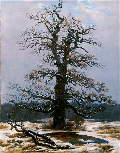 Eiche im Schnee - Caspar David Friedrich