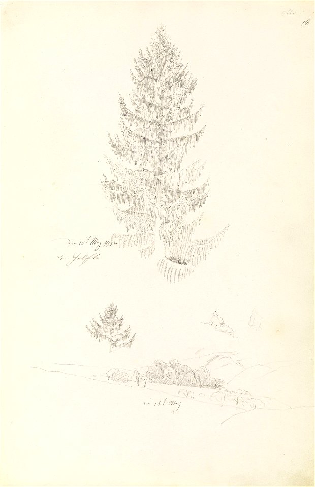 Friedrich - Grantre; landskap
