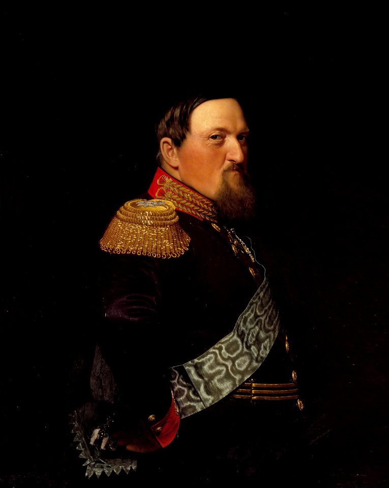 Friedrichviidenmark