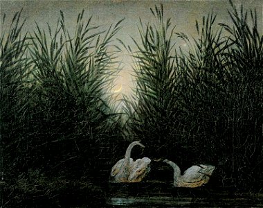 Schwaene im Schilf (C D Friedrich)