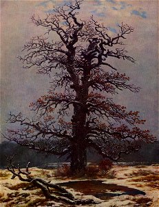 Caspar David Friedrich - Eiche im Schnee II