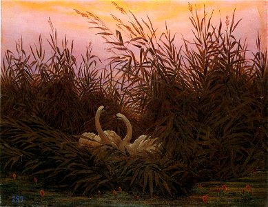 Caspar David Friedrich - Schwäne im Schilf beim ersten Morgenrot