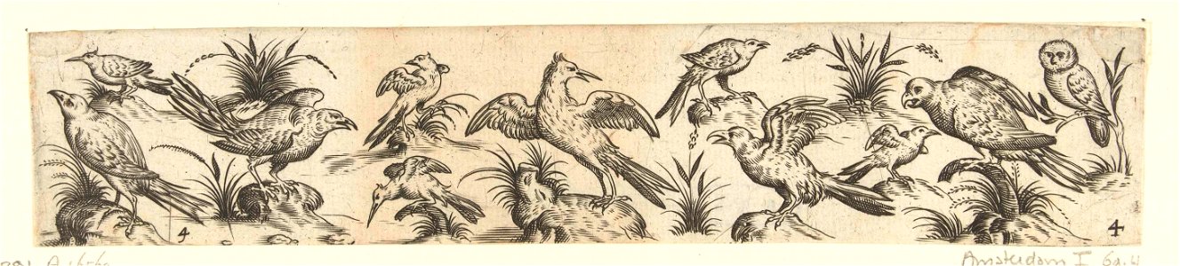 Fries met elf vogels, rechts zit een uiltje. Free illustration for personal and commercial use.