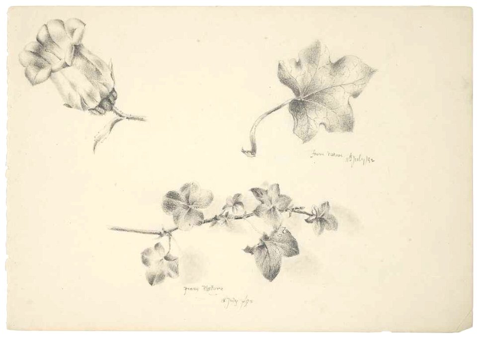 From nature, 11th July 1892; from nature, 18 July 1892 by Emily Cumming Harris