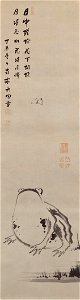 Frog with butterfly by Itō Jakuchū