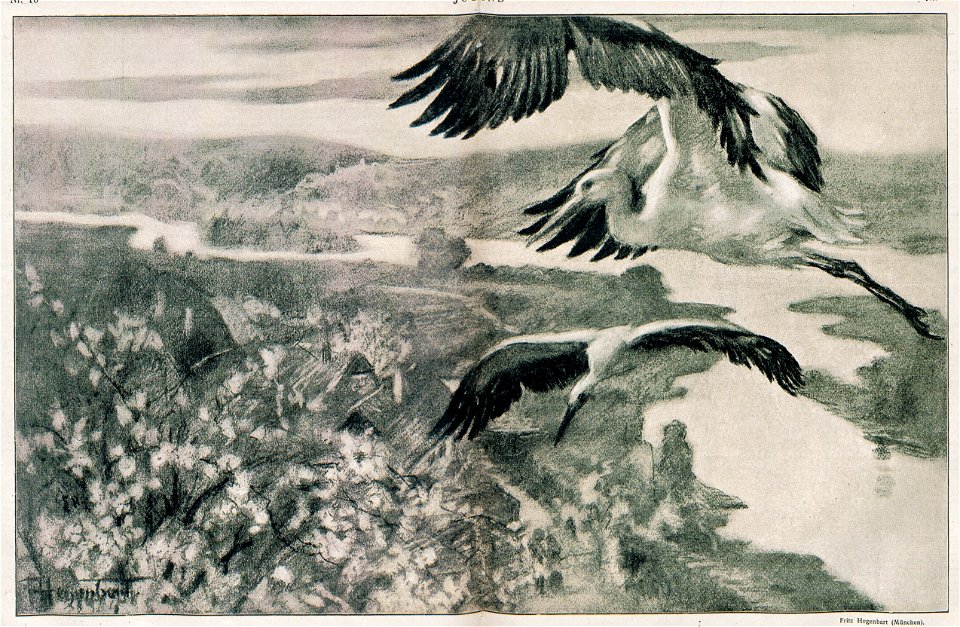 Fritz Hegenbart - Störche, Jugend 1898