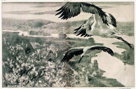 Fritz Hegenbart - Störche, Jugend 1898