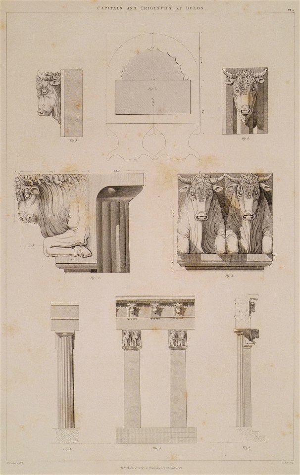 From the monument of the Bulls on Delos- 1 Plan of column capital with bulls' heads 2- Triglyph with bulls' heads (reco - Cockerell Charles Robert Kinnard William Donaldsonthomas Leverton Jenkins William Railton William - 1830