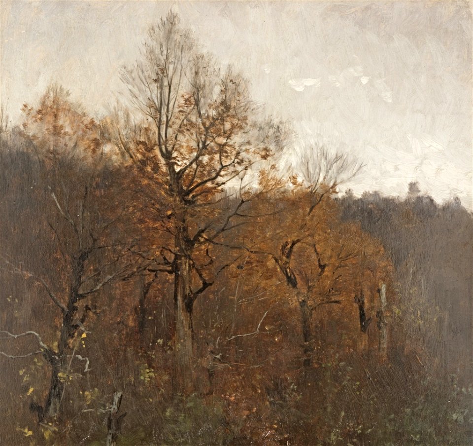 Fritz von Uhde - Waldlandschaft - BG-M-SG 5721^92 - Berlinische Galerie