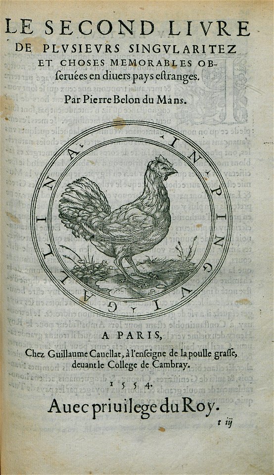 Frontispiece to second volume - Belon Pierre - 1554